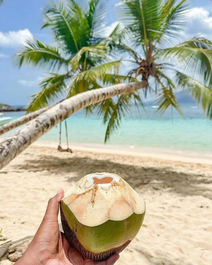 Punta Cana o Cancún: La Mejor Escapada Todo Incluido para Familias desde Miami